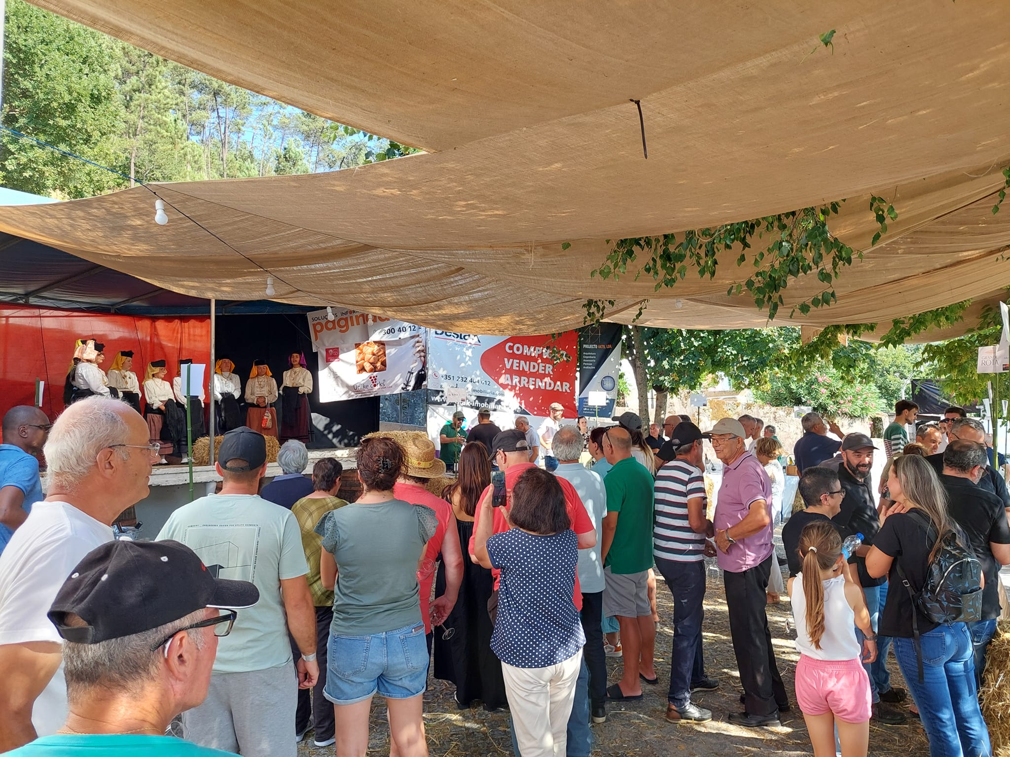 Evento anual → Avinha-te!