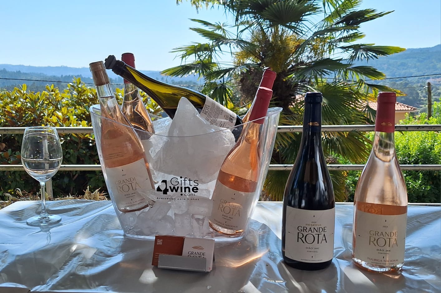 Evento anual → Avinha-te!